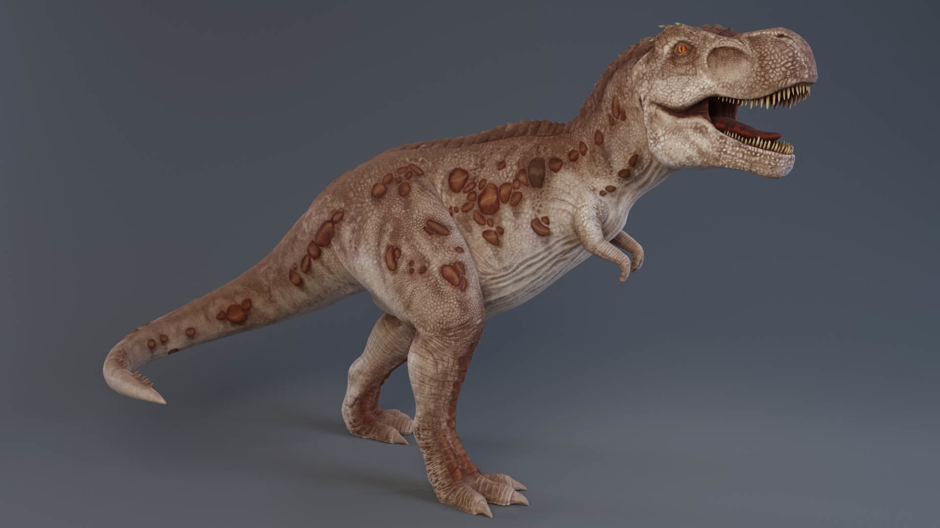 Tyrannosaurus rex rigged 3D model_4