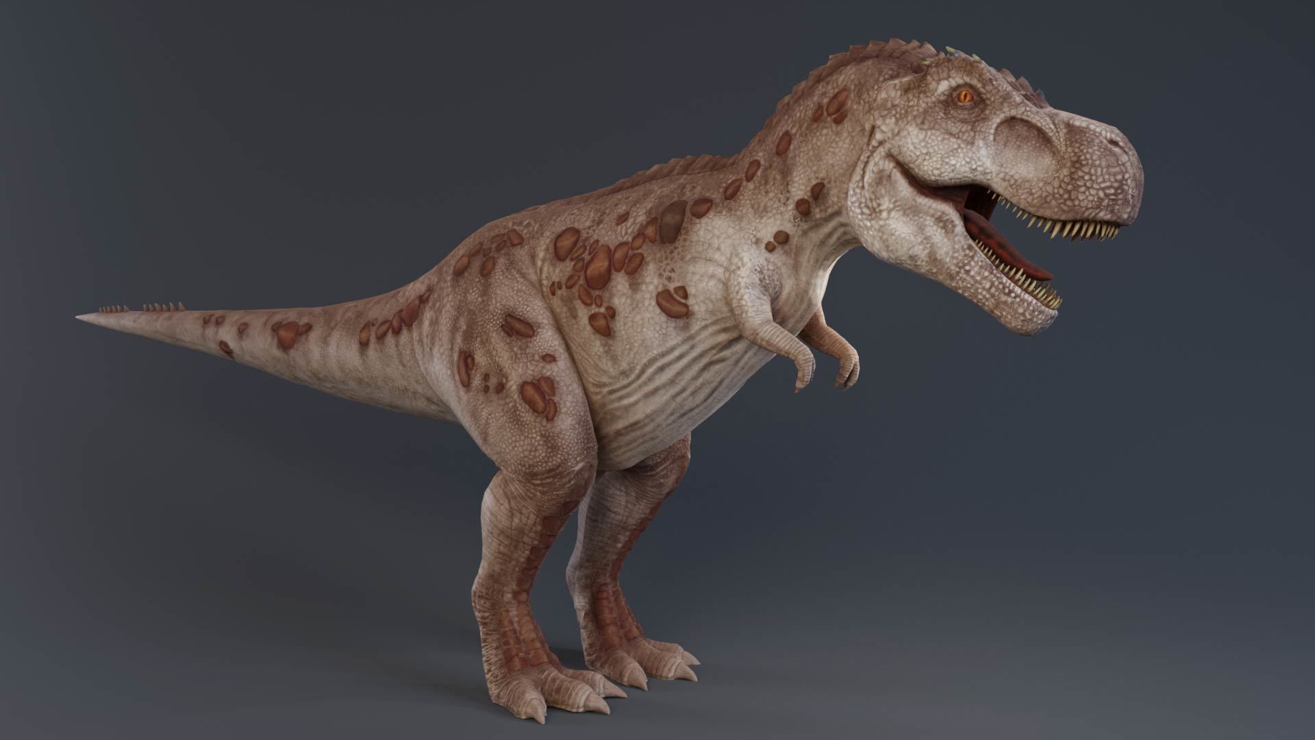 Tyrannosaurus rex rigged 3D model_6