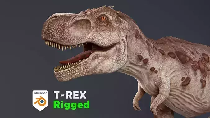 Tyrannosaurus rex rigged 3D model