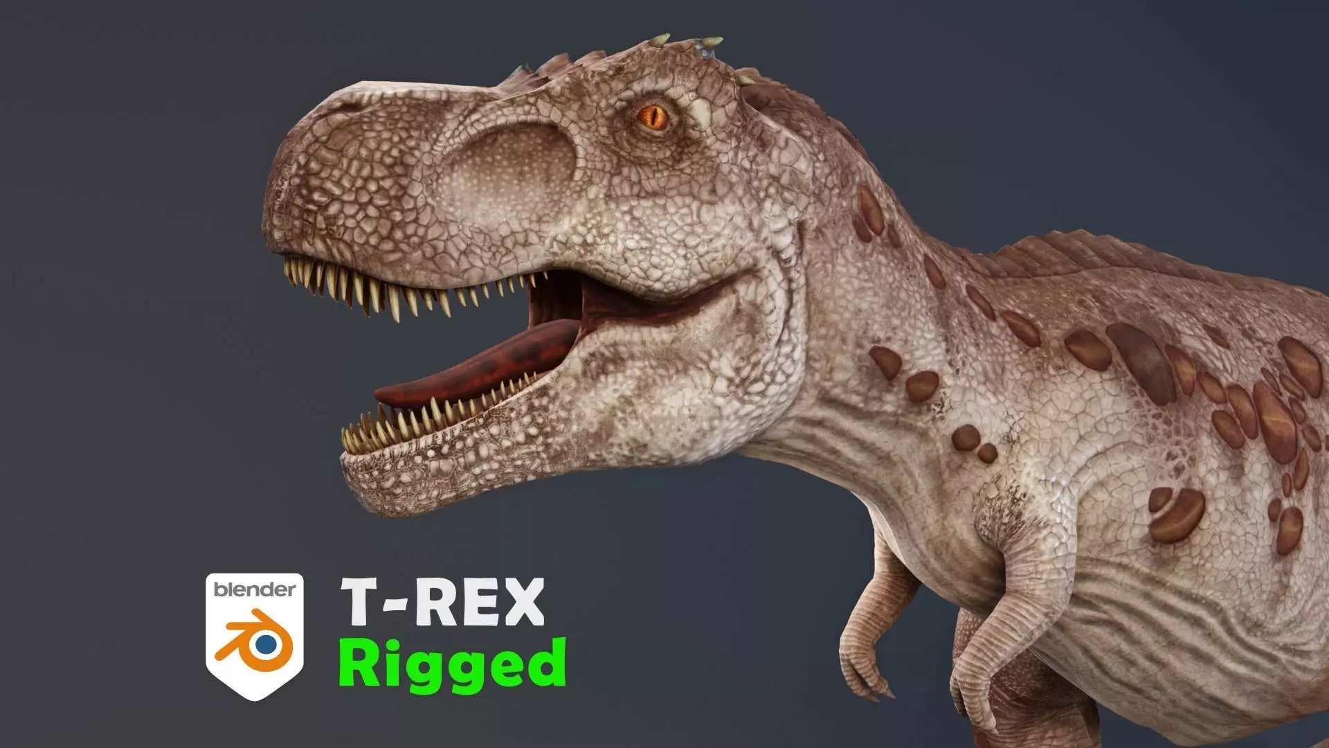 Tyrannosaurus rex rigged 3D model_0
