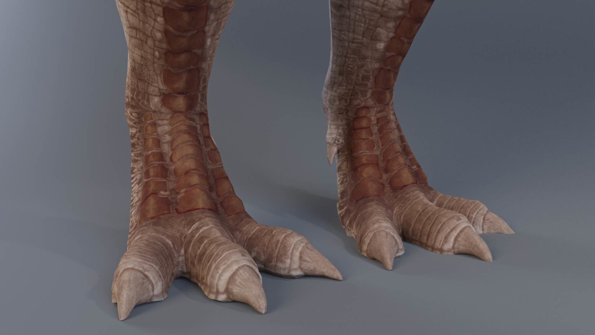 Tyrannosaurus rex rigged 3D model_8