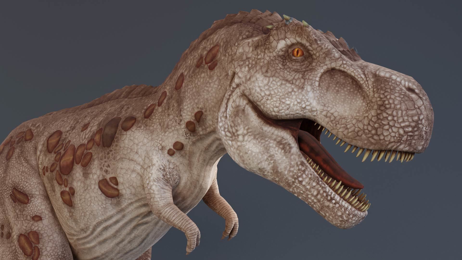 Tyrannosaurus rex rigged 3D model_7
