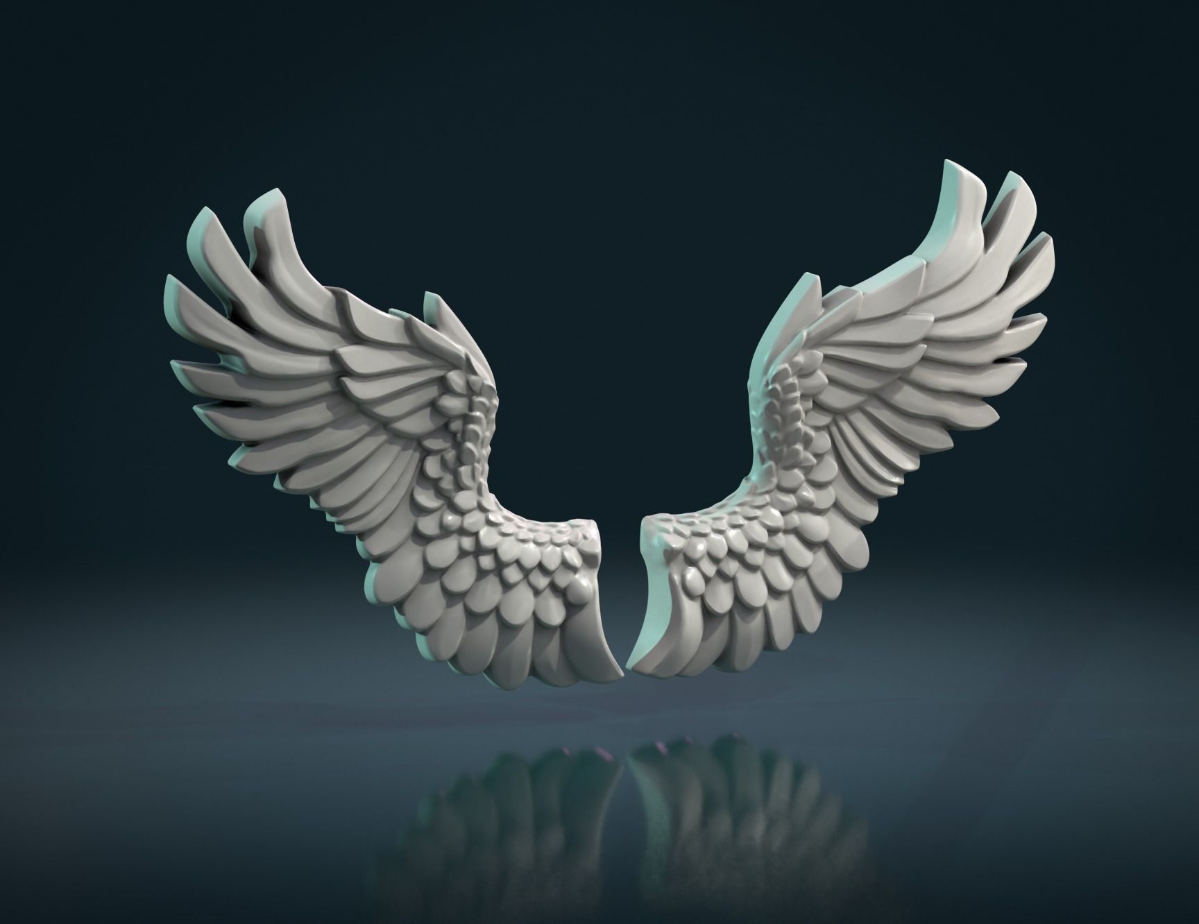 Wings Relief 3D print model_2