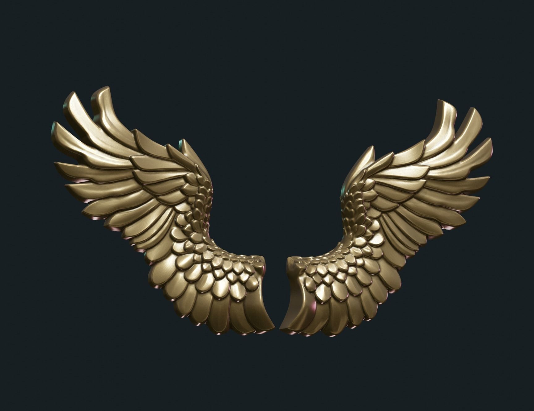 Wings Relief 3D print model_14