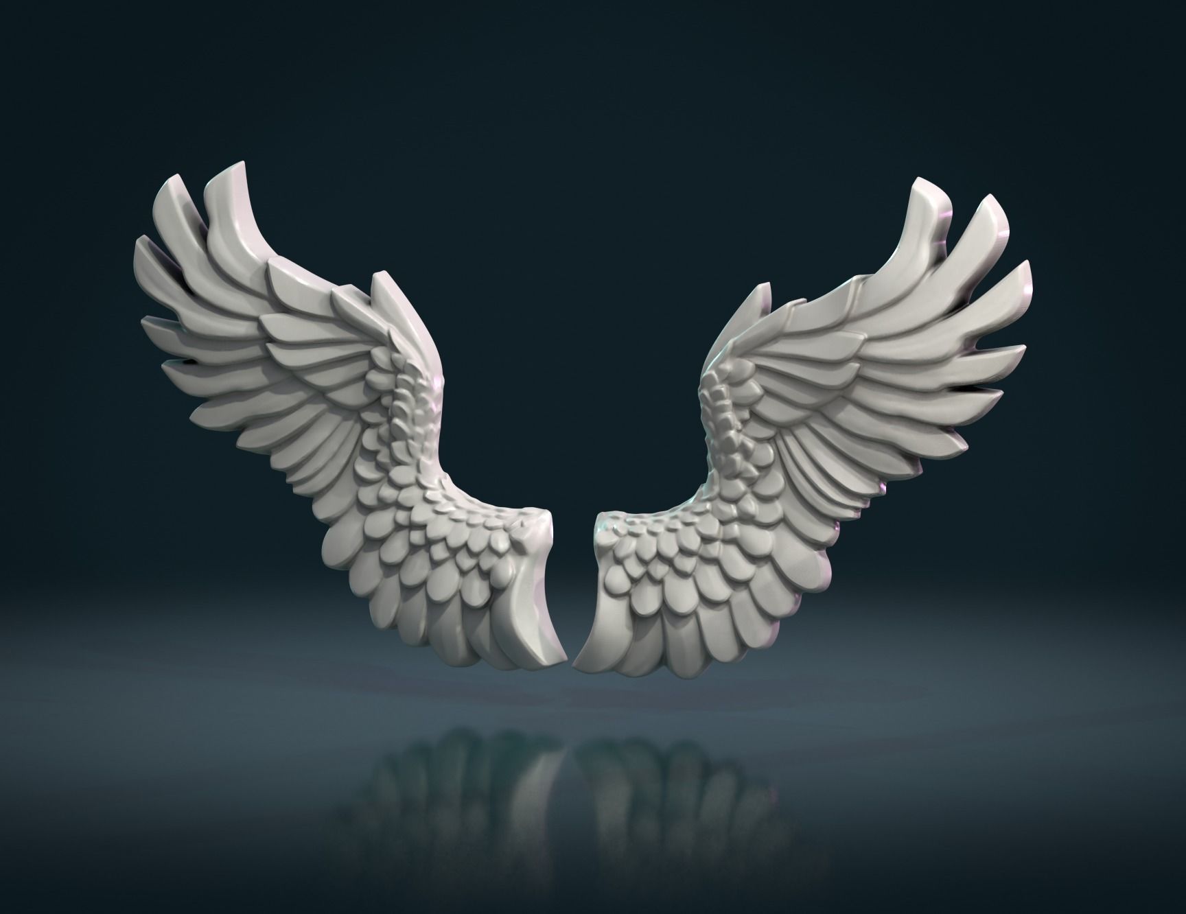 Wings Relief 3D print model_4