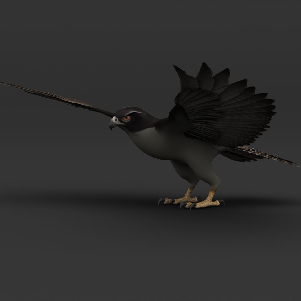 Falcon in flight 3D model_6