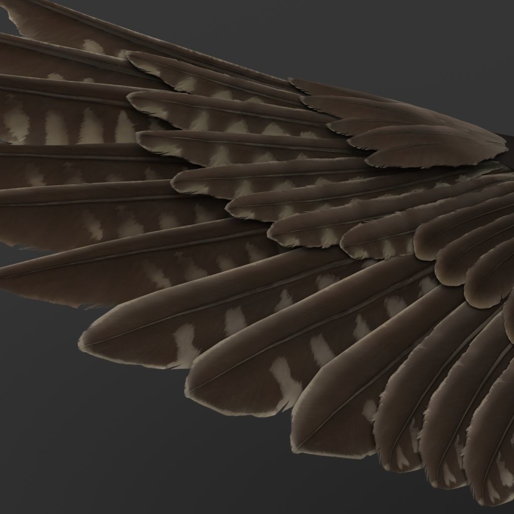 Falcon in flight 3D model_7