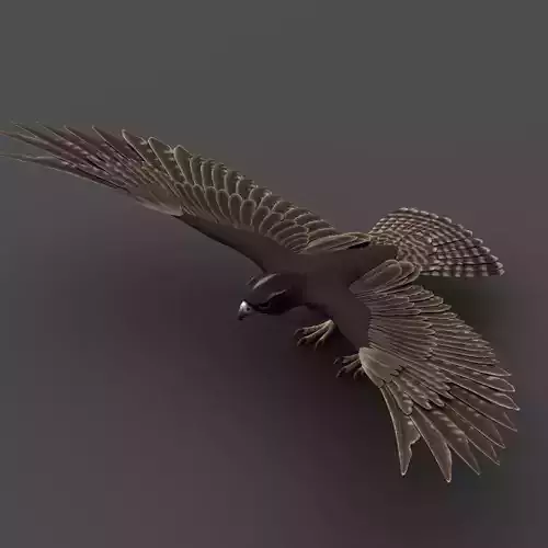 Falcon in flight 3D model