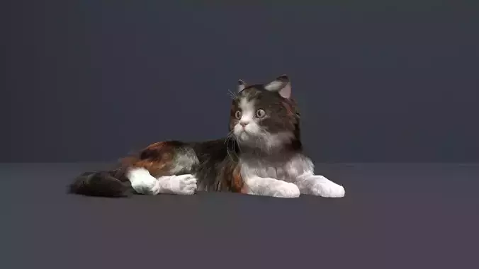 Cat Fur Rig
