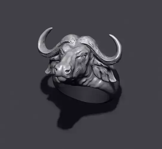 Buffalo ring