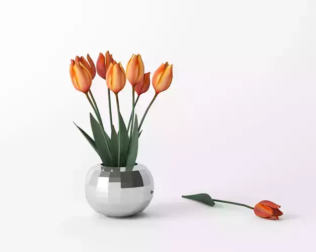  Tulips in  modern vase