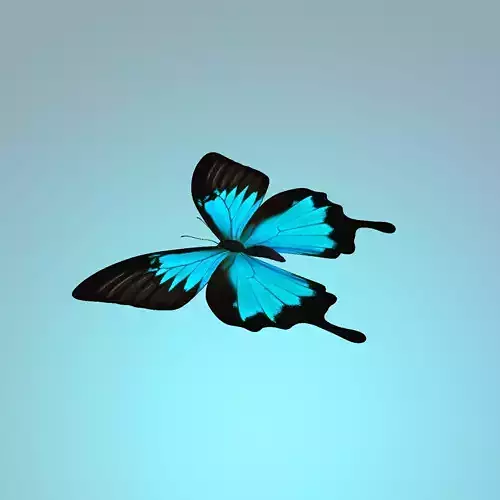 Butterflly butterfly flying in sky