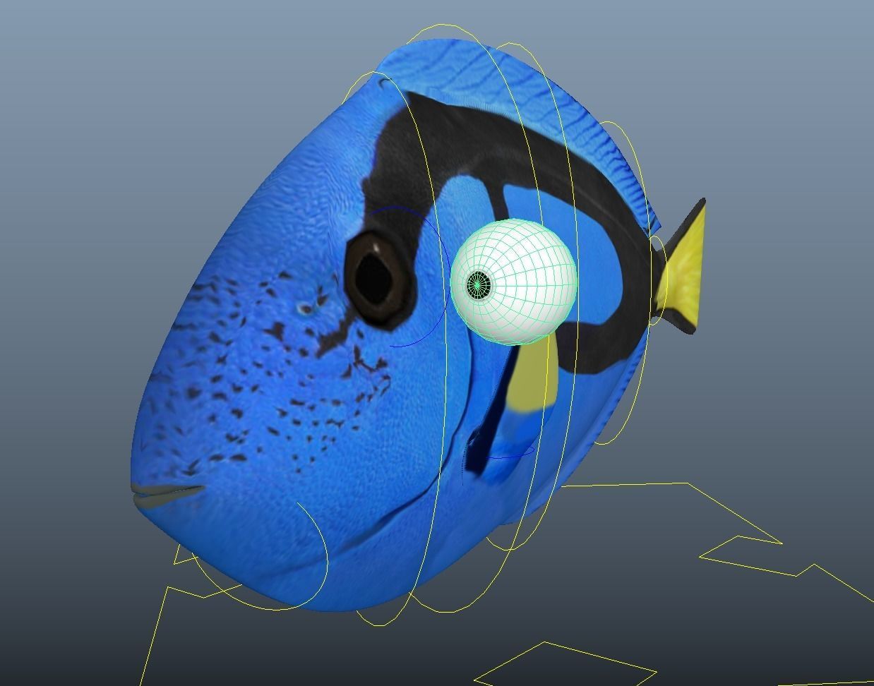 Dory from Nemo - Cartoon Fish - Rigged Low-poly 3D model_11
