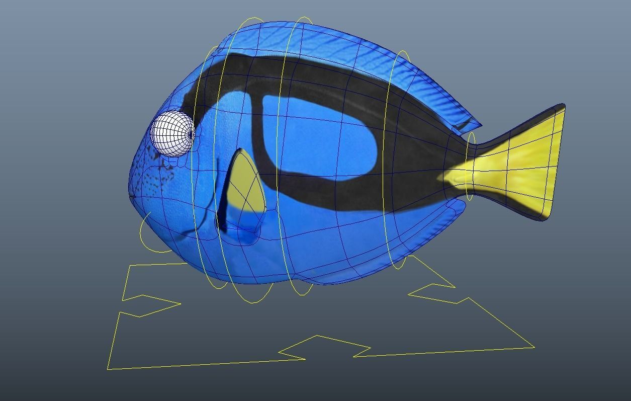 Dory from Nemo - Cartoon Fish - Rigged Low-poly 3D model_6
