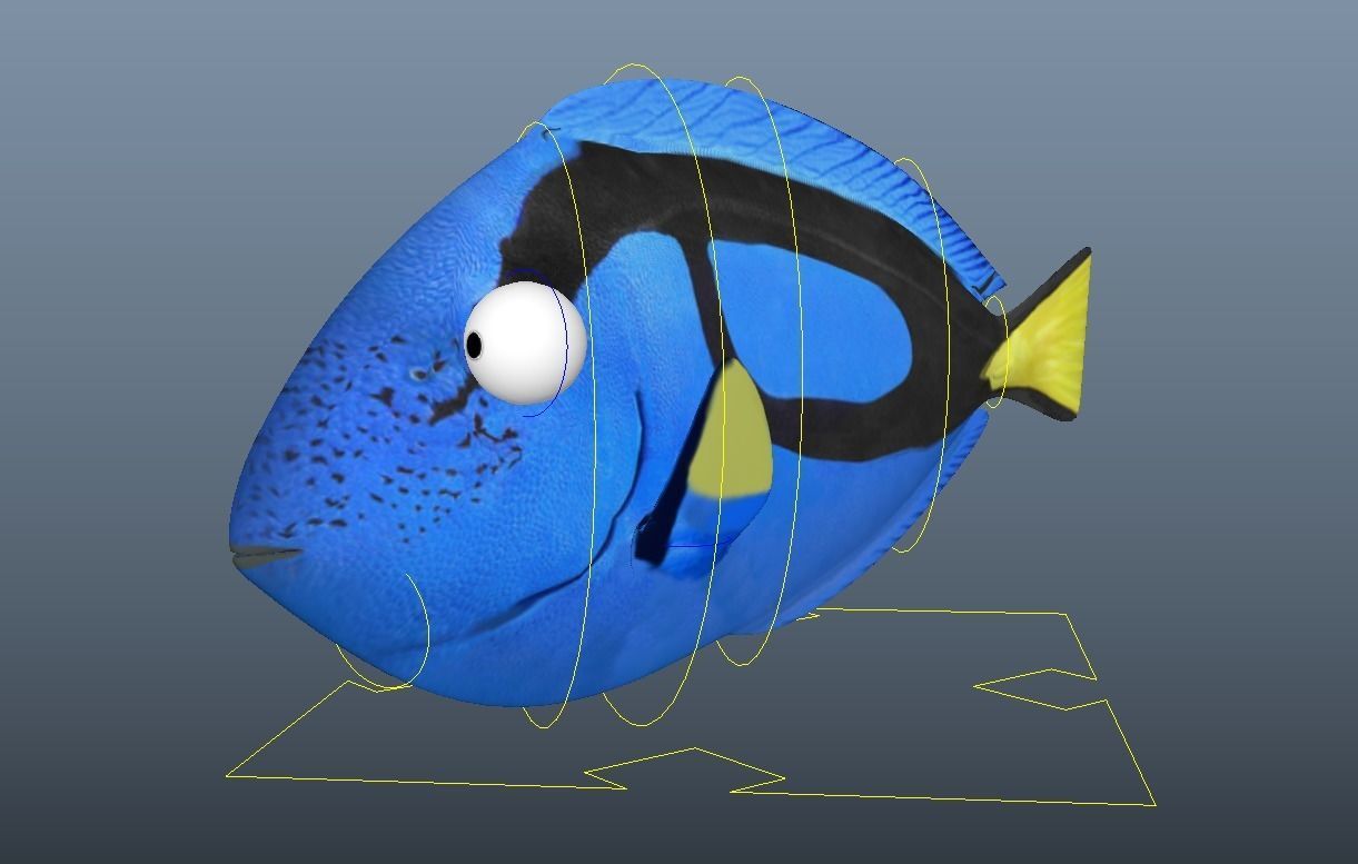 Dory from Nemo - Cartoon Fish - Rigged Low-poly 3D model_8