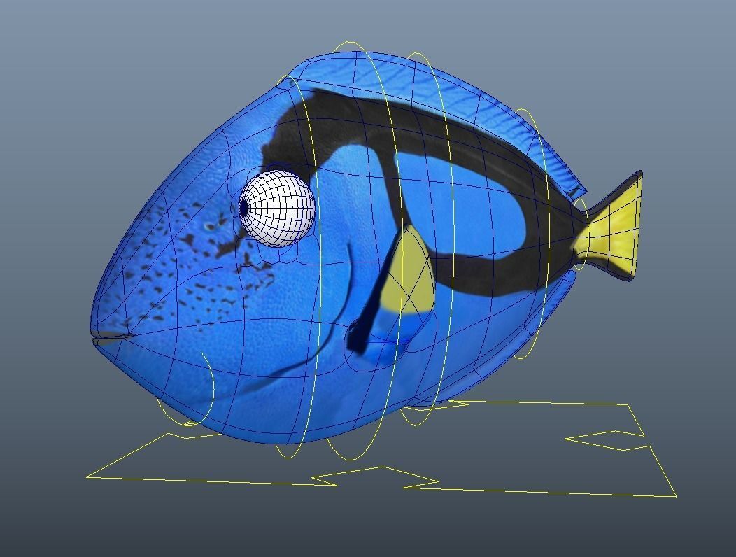 Dory from Nemo - Cartoon Fish - Rigged Low-poly 3D model_5