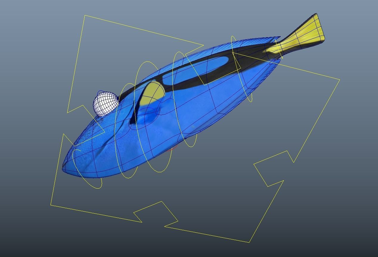 Dory from Nemo - Cartoon Fish - Rigged Low-poly 3D model_7