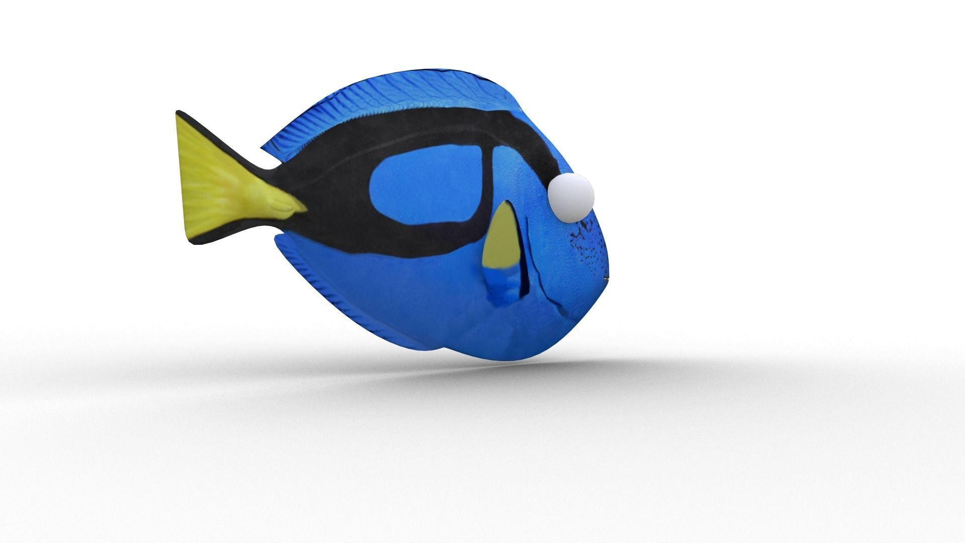 Dory from Nemo - Cartoon Fish - Rigged Low-poly 3D model_4