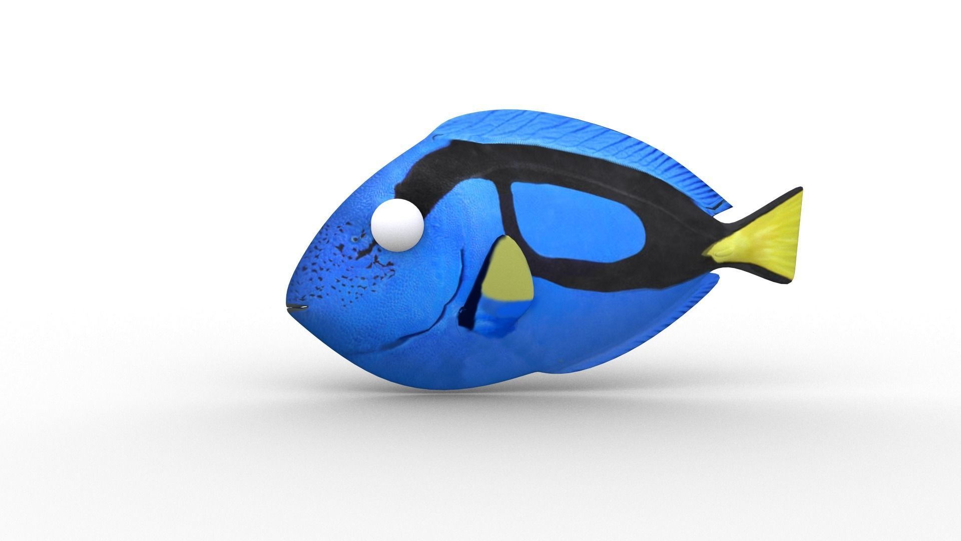 Dory from Nemo - Cartoon Fish - Rigged Low-poly 3D model_2