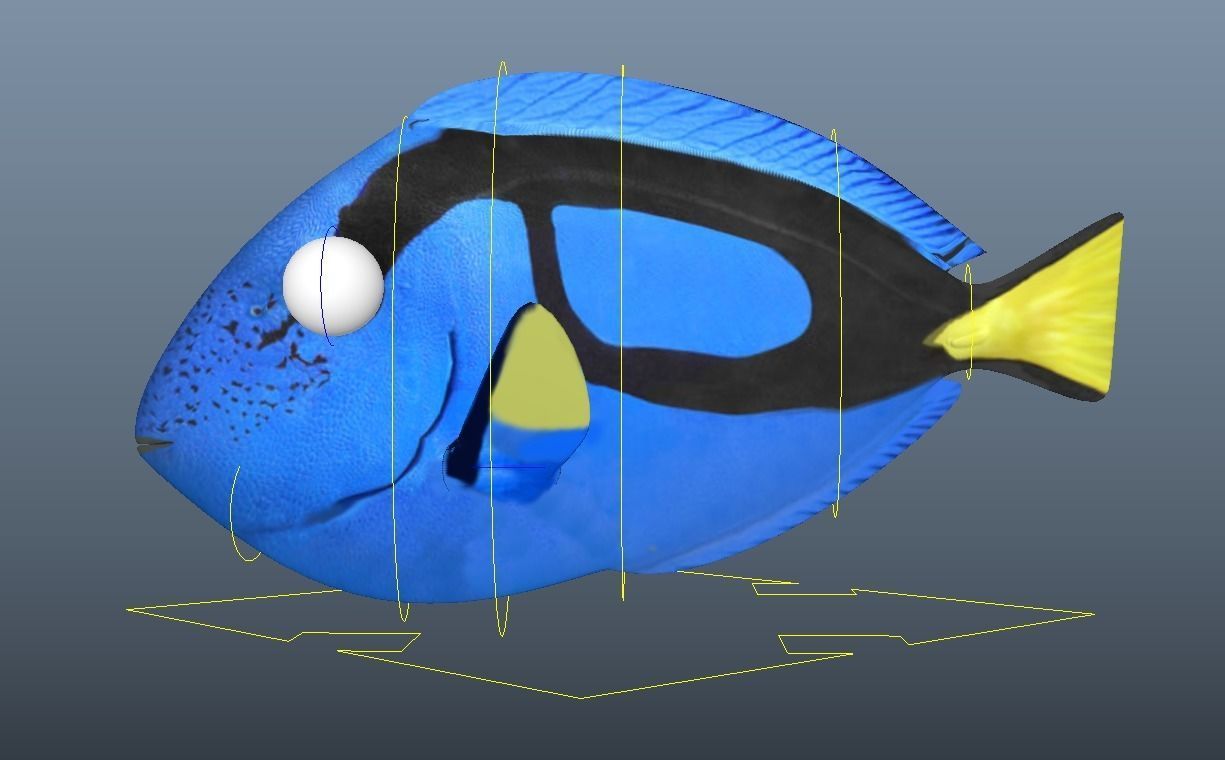 Dory from Nemo - Cartoon Fish - Rigged Low-poly 3D model_9
