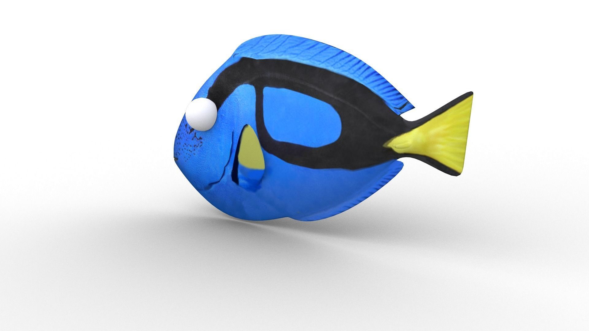 Dory from Nemo - Cartoon Fish - Rigged Low-poly 3D model_3