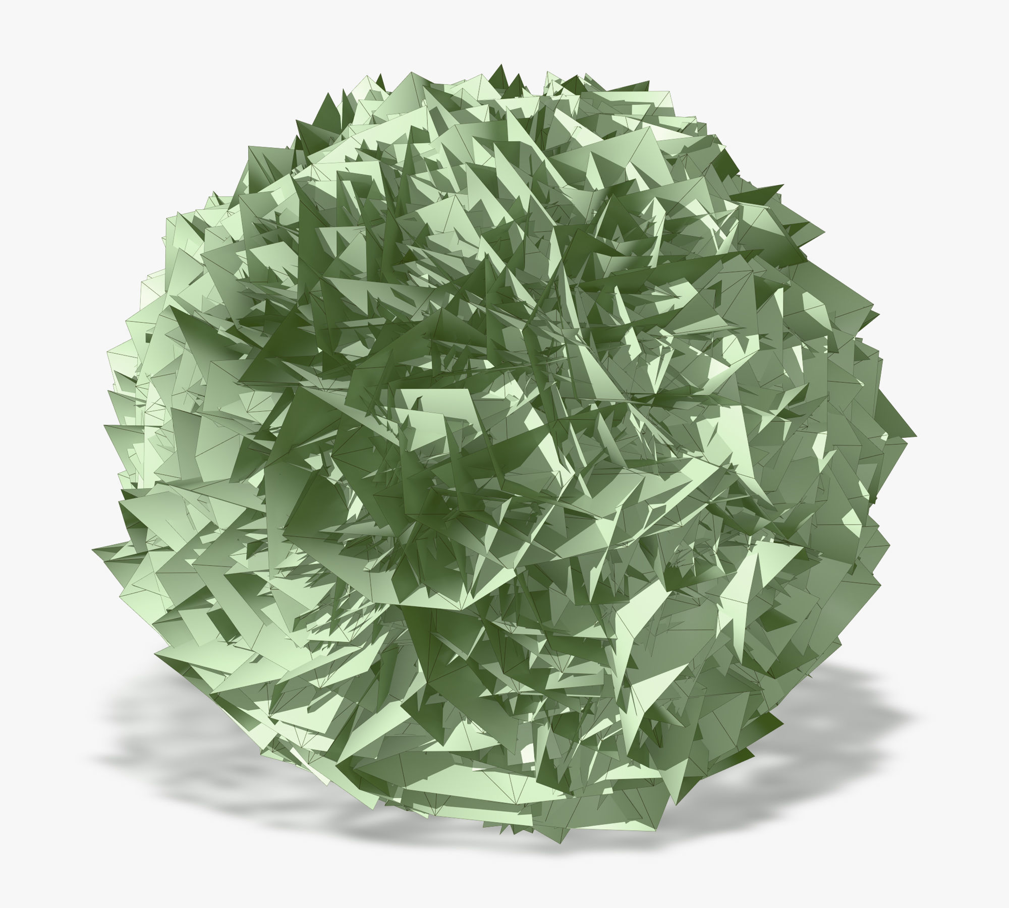 Thuja globose 3D model_5