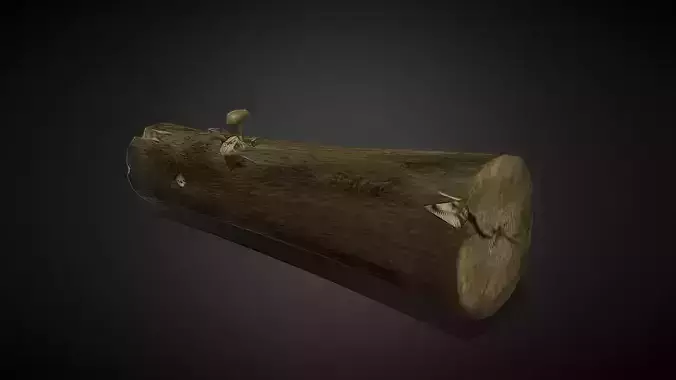 Wood Log