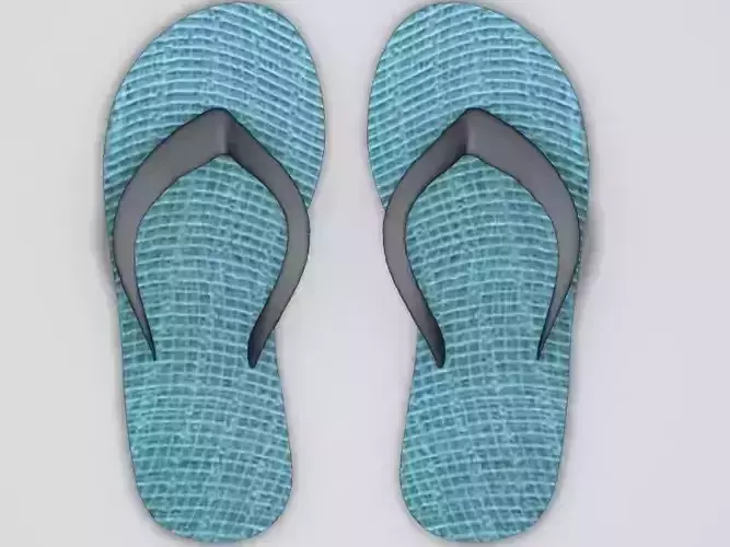 Slippers flip flops 3D model