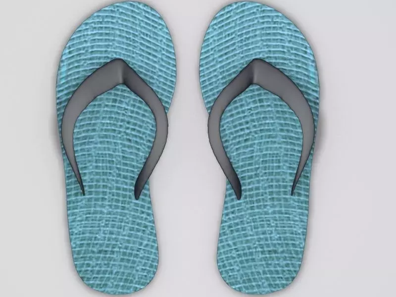 Slippers flip flops 3D model_0
