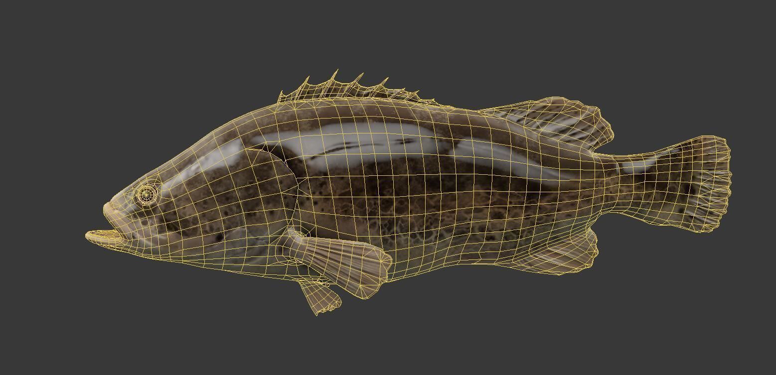 mandarin fish Low-poly 3D model_1