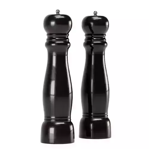 SALT AND PEPPER GRINDER by ZARA HOME 3D model