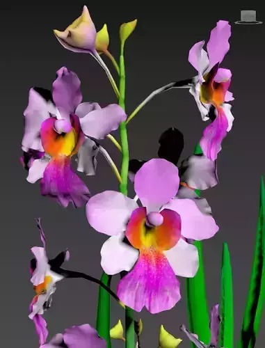 Flower MissJoanquim Low-poly 3D model