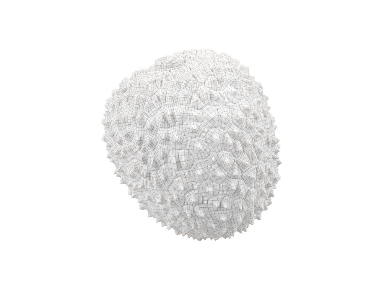 Photorealistic Lychee 3D Scan 3D model_7