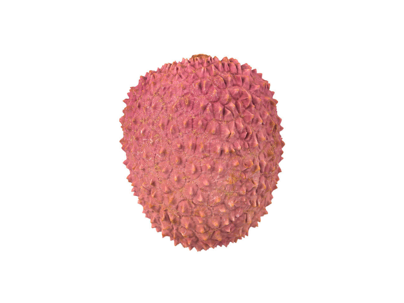 Photorealistic Lychee 3D Scan 3D model_3