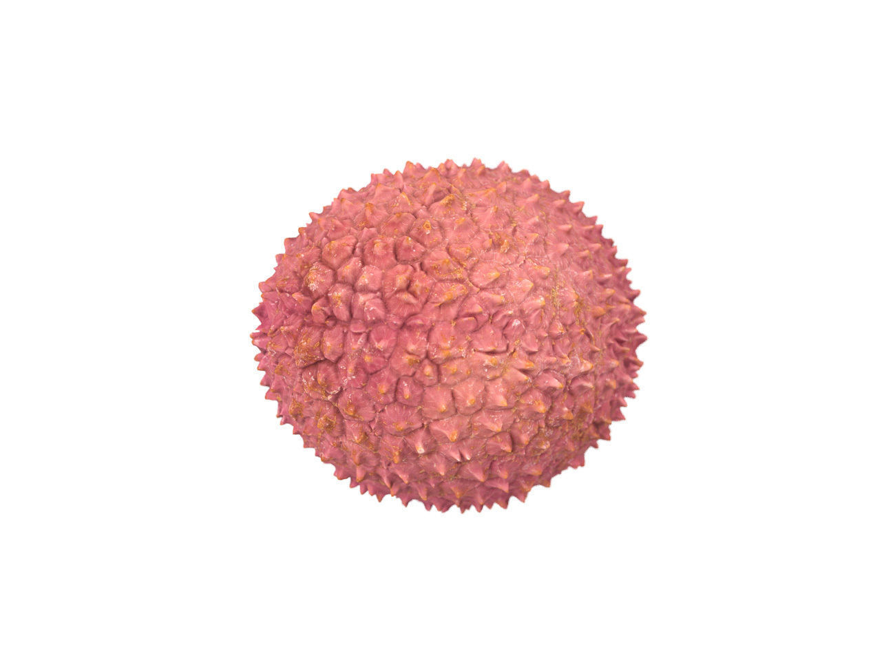 Photorealistic Lychee 3D Scan 3D model_5