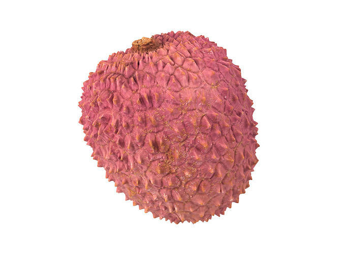 Photorealistic Lychee 3D Scan 3D model