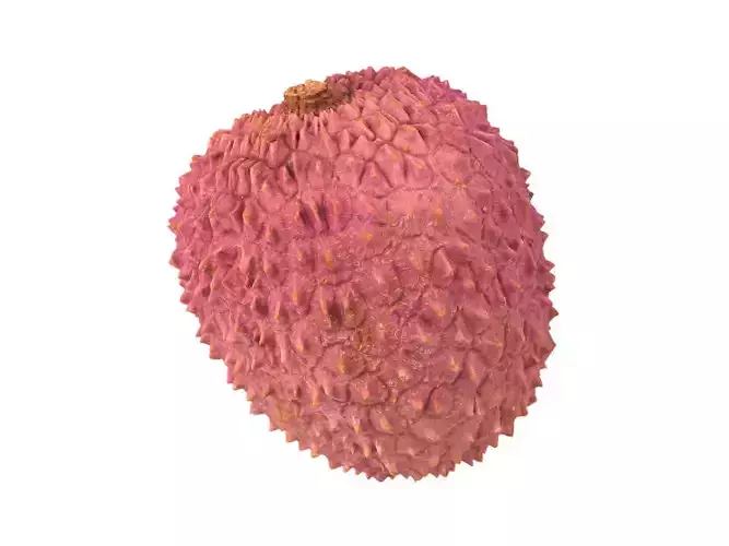 Photorealistic Lychee 3D Scan 3D model