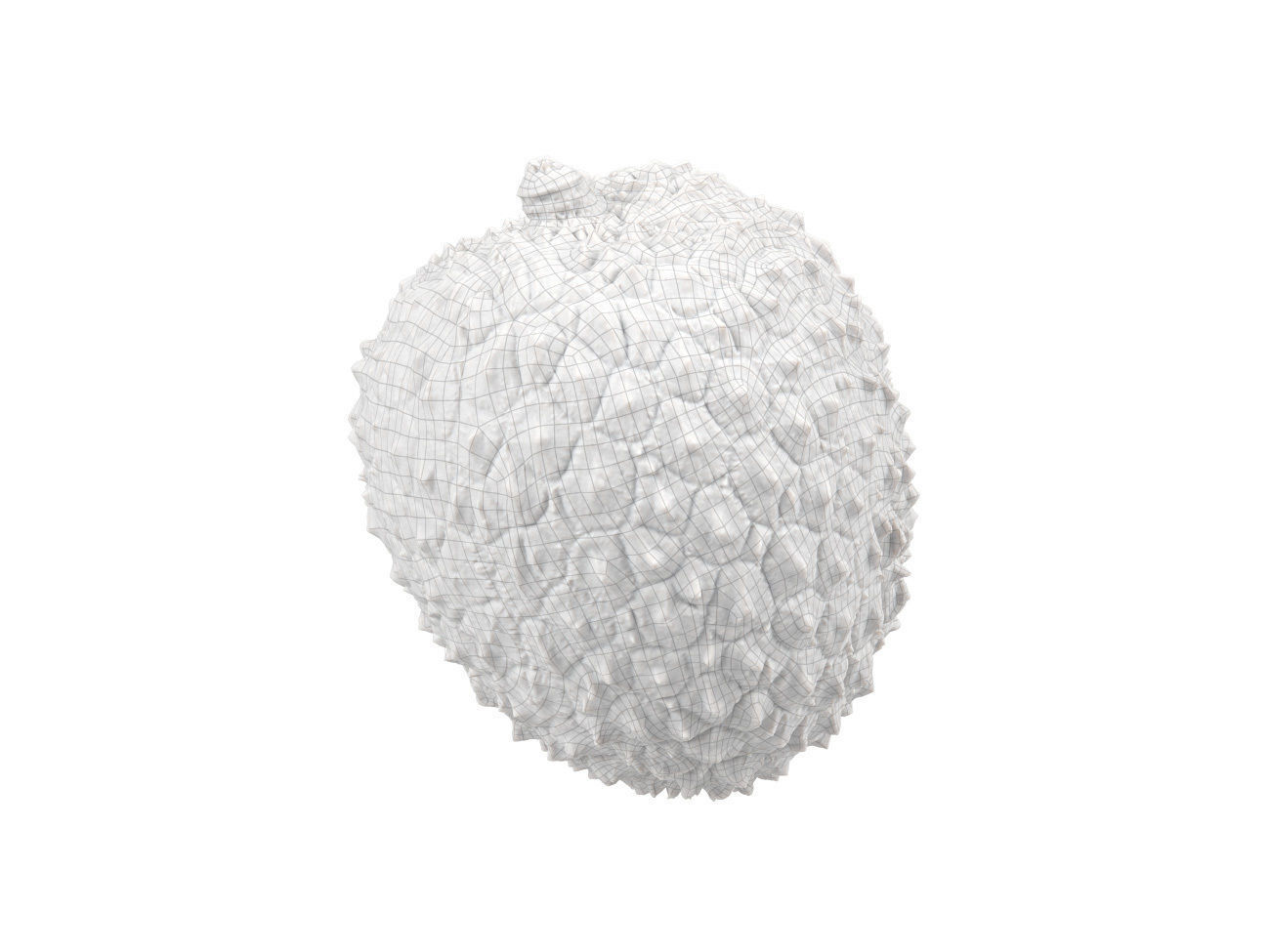 Photorealistic Lychee 3D Scan 2 3D model_7