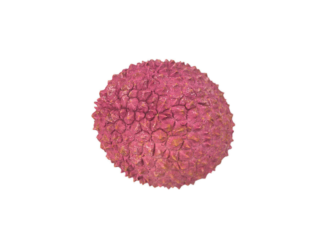 Photorealistic Lychee 3D Scan 2 3D model_5
