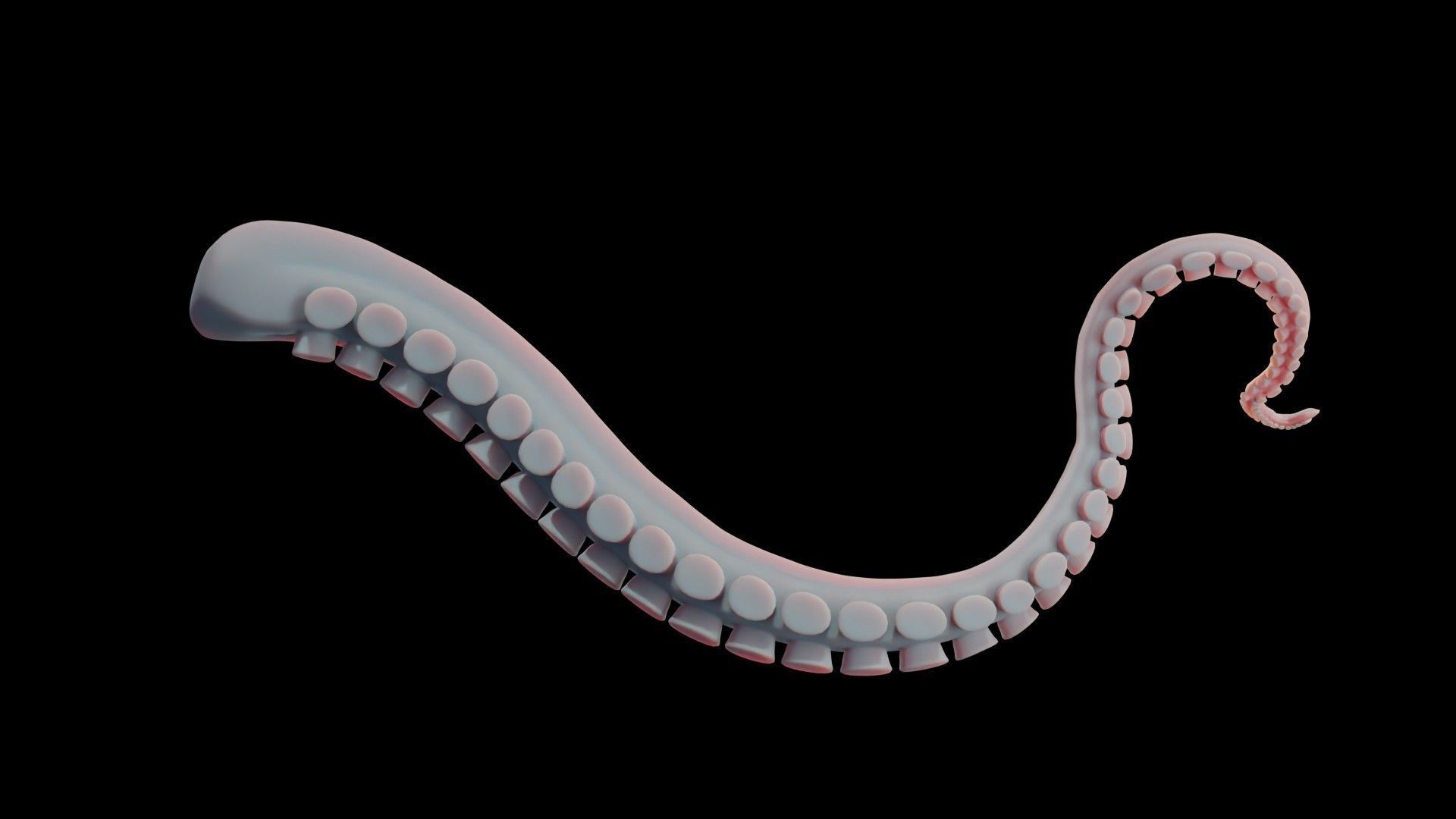Rigged Tentacle Low-poly 3D model_19