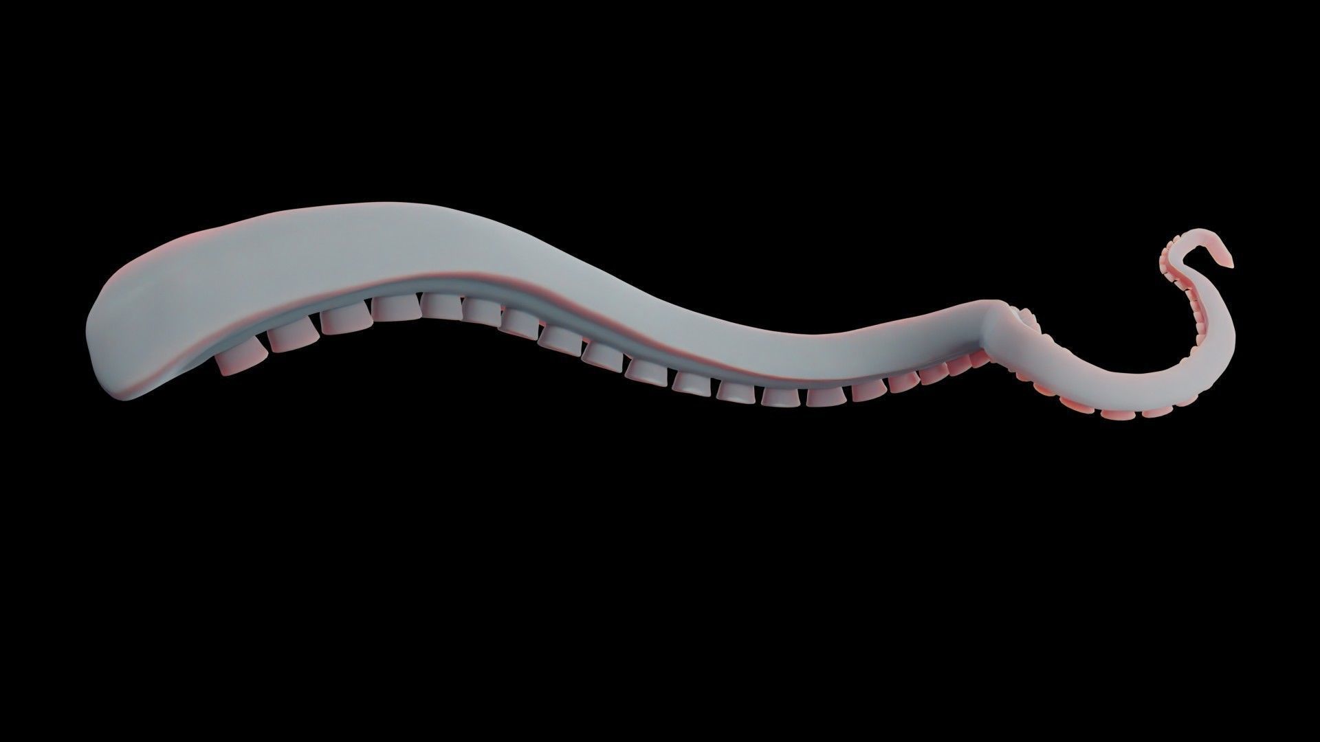 Rigged Tentacle Low-poly 3D model_17