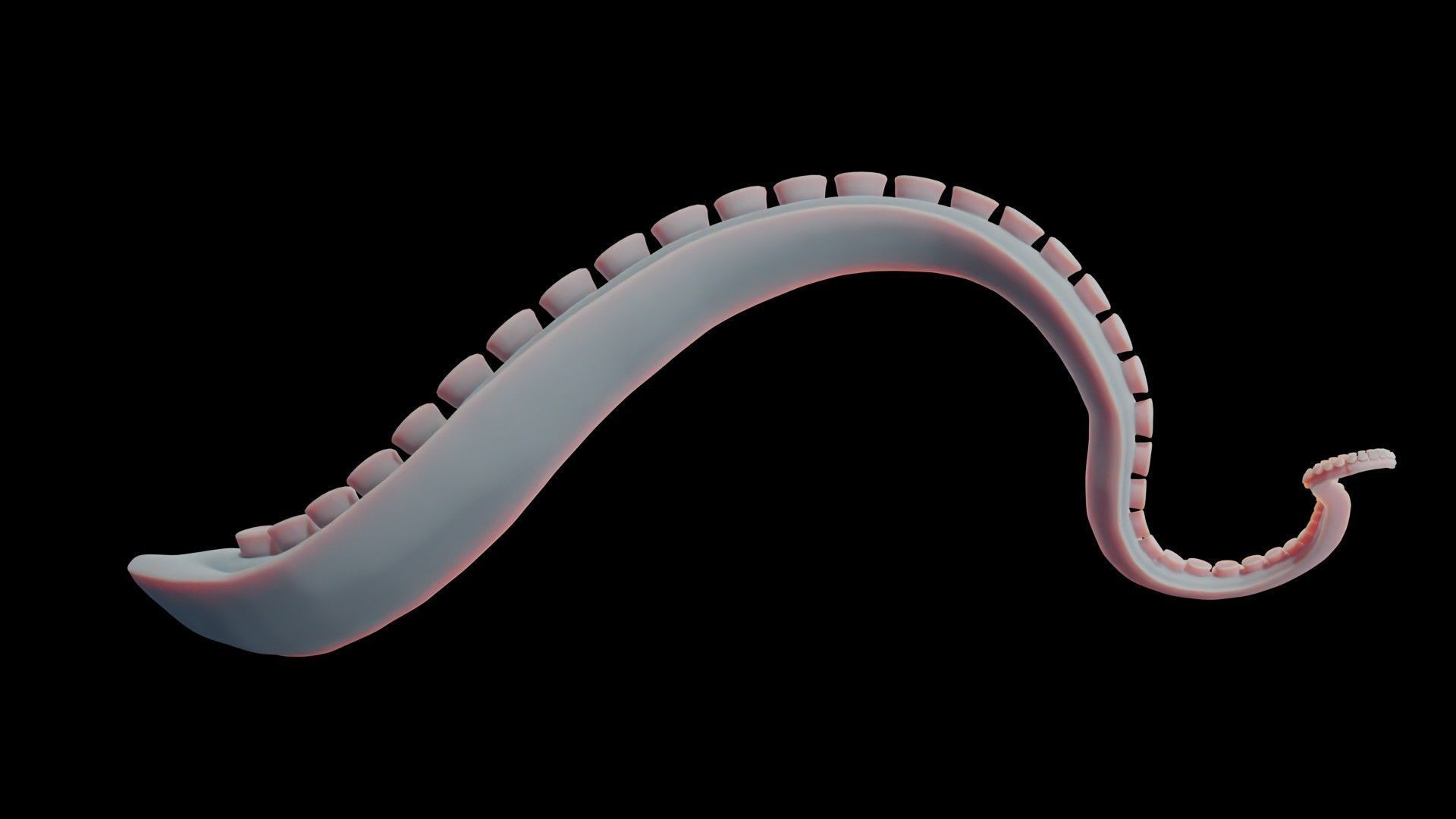 Rigged Tentacle Low-poly 3D model_12