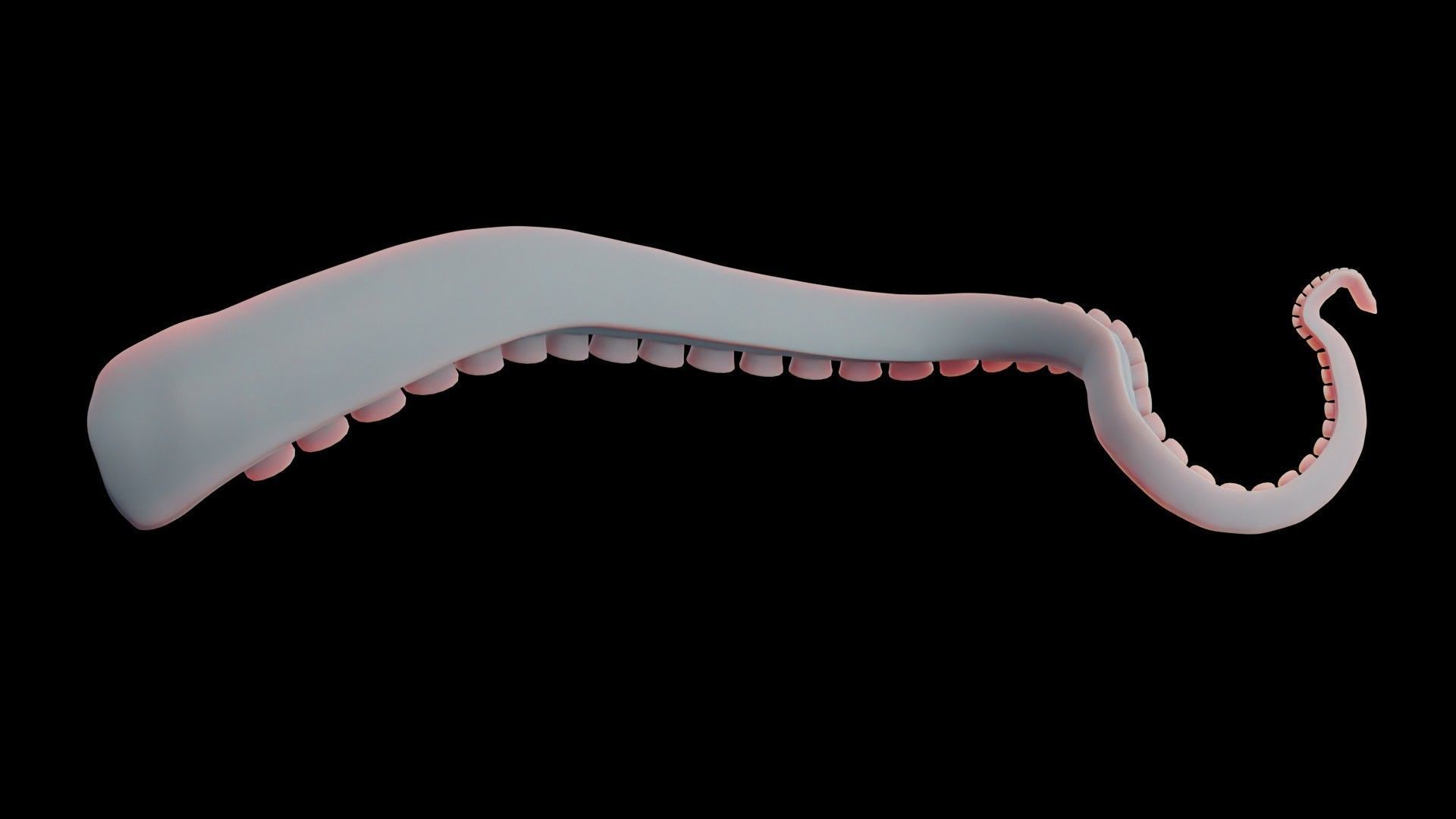 Rigged Tentacle Low-poly 3D model_14