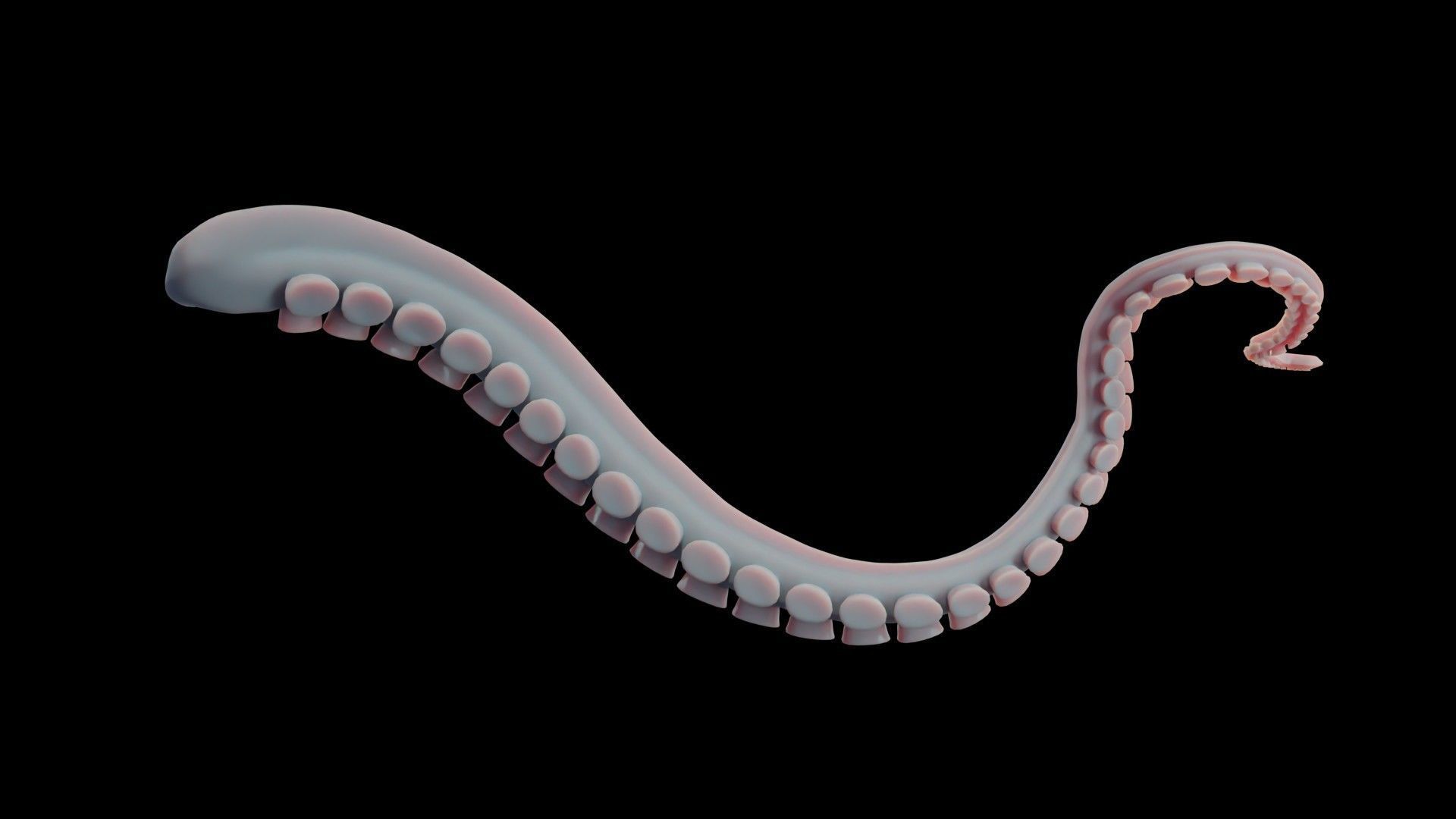 Rigged Tentacle Low-poly 3D model_15