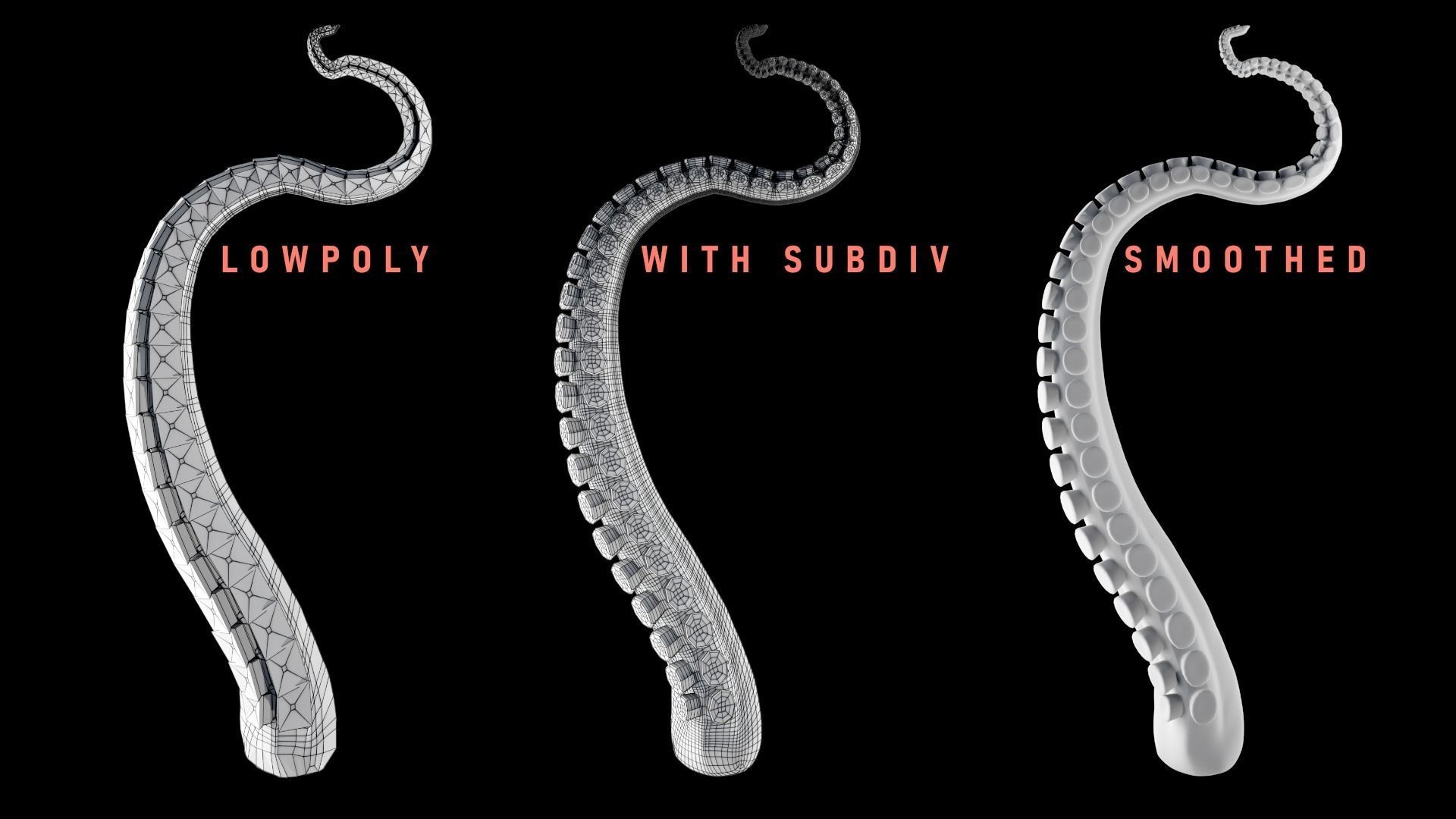 Rigged Tentacle Low-poly 3D model_1