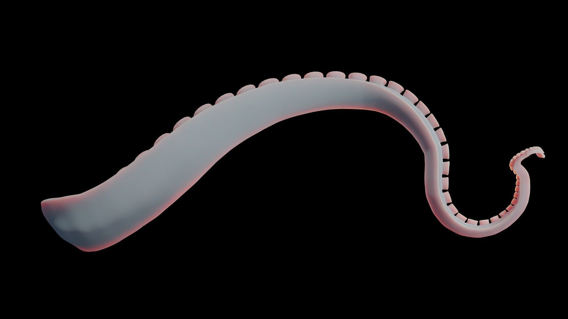 Rigged Tentacle Low-poly 3D model_13