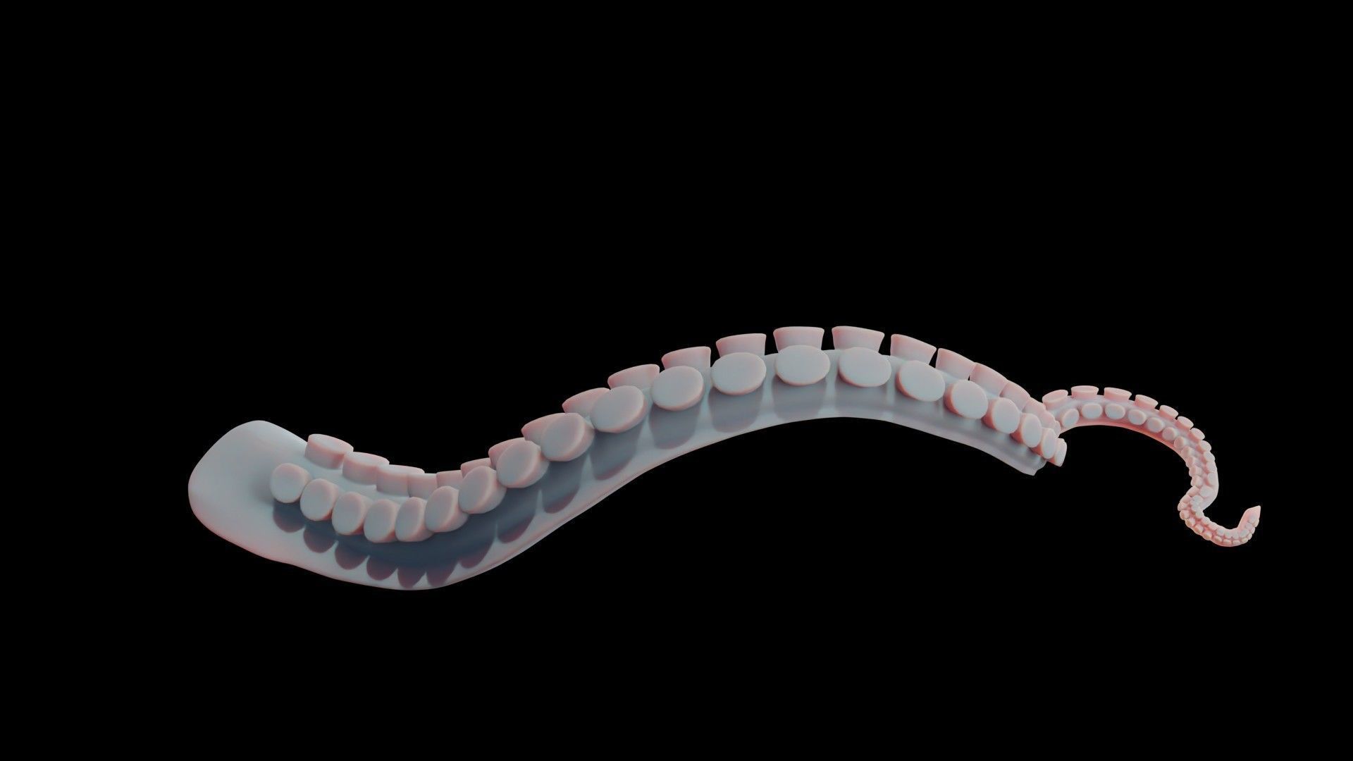 Rigged Tentacle Low-poly 3D model_8