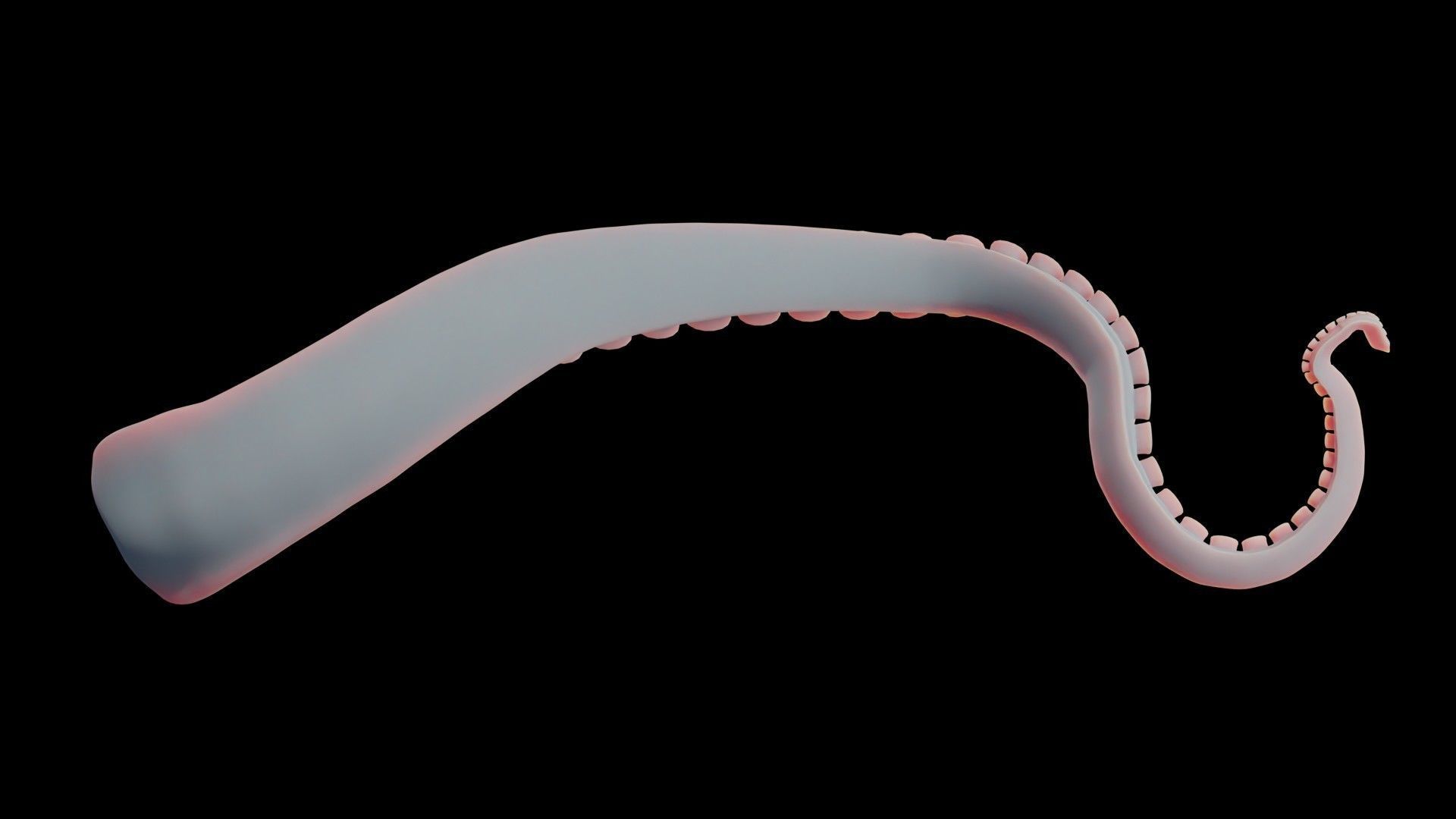 Rigged Tentacle Low-poly 3D model_20