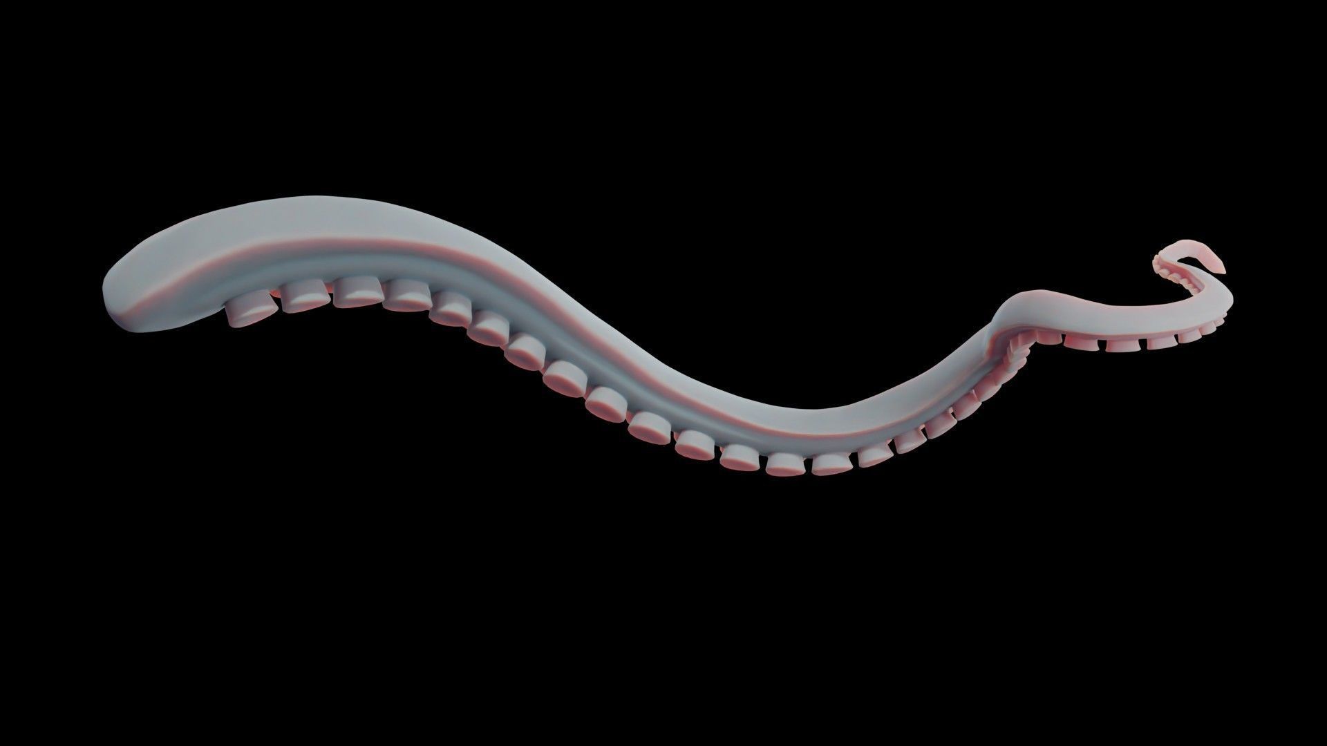 Rigged Tentacle Low-poly 3D model_18
