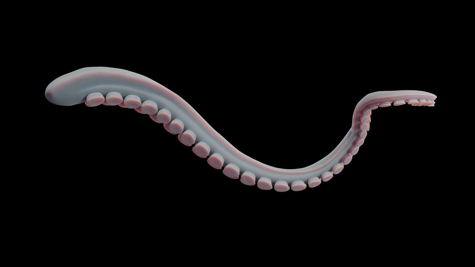 Rigged Tentacle Low-poly 3D model_21